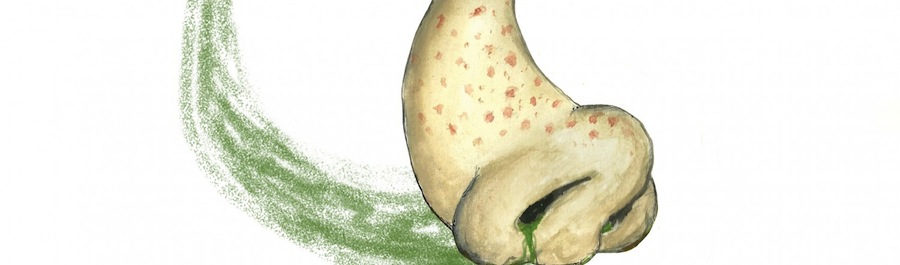 cropped-nose_for_dave3